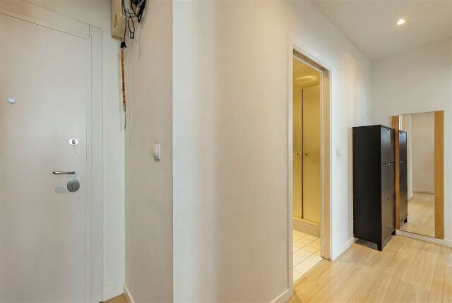 7997 7